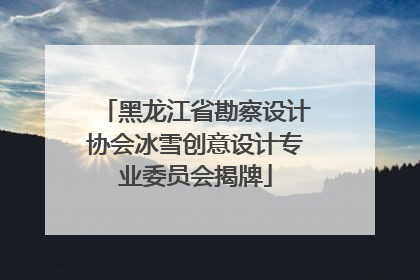黑龙江省勘察设计协会冰雪创意设计专业委员会揭牌